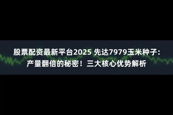 股票配资最新平台2025 先达7979玉米种子：产量翻倍的秘密！三大核心优势解析